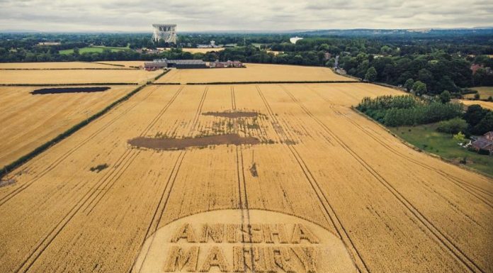 Man-Makes-The-Most-Creative-Wedding-Request-Of-All-Time-And-She-Says-Yes-5b7546843309f__880