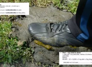 Eksperti i Qeverisë për baglat, shqiptarët vazhdojnë të çudisin botën
