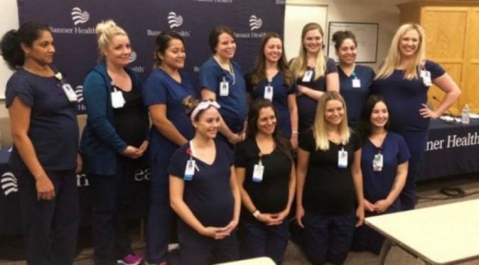 auto_165_1534658744-28030251534660211