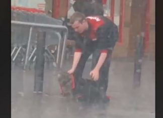 Shi i madh, gjesti i këtij njeriu ka bërë për vete të gjithë (VIDEO)