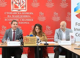 Miliarda euro humbje, destabilizim i denarit, ja pasojat për Maqedoninë nëse nuk kalon referendumi