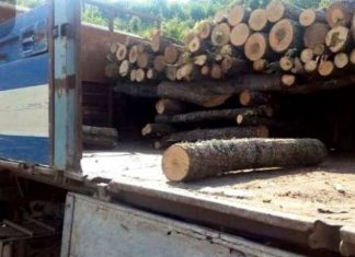 Kujdes nga shitësit mashtrues të druve, mund t’i paguani 10 metra e të merrni veç 5 metra kub