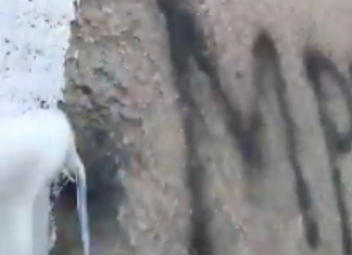 Maqedonasi turpërohet nga grafitet kundër shqiptarëve dhe e fshin një (VIDEO)
