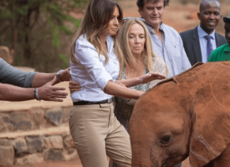 Dalin pamjet, ja momenti kur Melania Trump goditet nga një elefant (VIDEO)