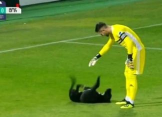 Qeni hyn në fushë në mes të ndeshjes, ja veprimi i portierit (VIDEO)