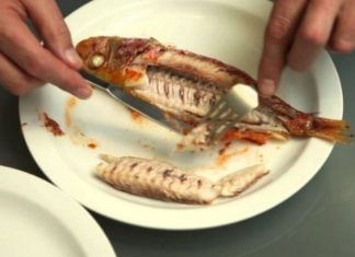 Si duhet të veprojmë kur një halë peshku mbetet e kapur në fyt?