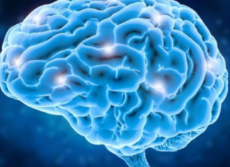 Sulmi në tru, ja kush rrezikohet më shumë