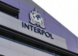 Edhe këtë vit Kosova mund të mos kandidojë në Interpol