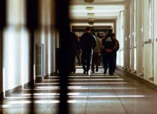 Nga amnistia në Maqedoni përfitojnë pothuajse 900 persona, ja kategoritë që përfitojnë