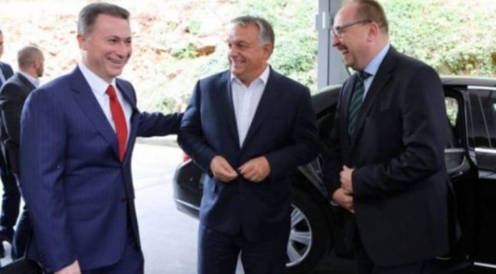 gruevski eurodeputet