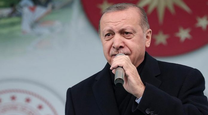 erdogan_b_c_050db5f6ed79a4ab08a42400e1a258b0