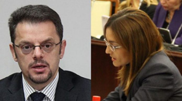 jankullovska stavrevski