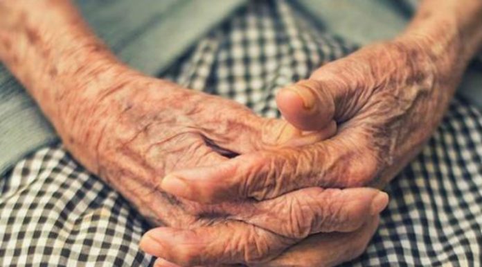 plaka-cristian-newman-63291-520x358