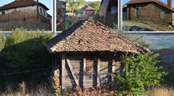 372321_selo_ls-1200x630