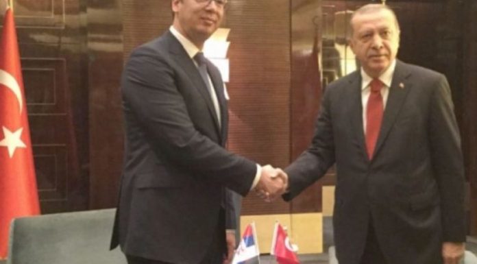 erdogan-vucic-1250x596-810x386
