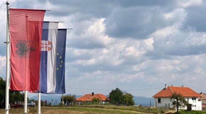medvegje