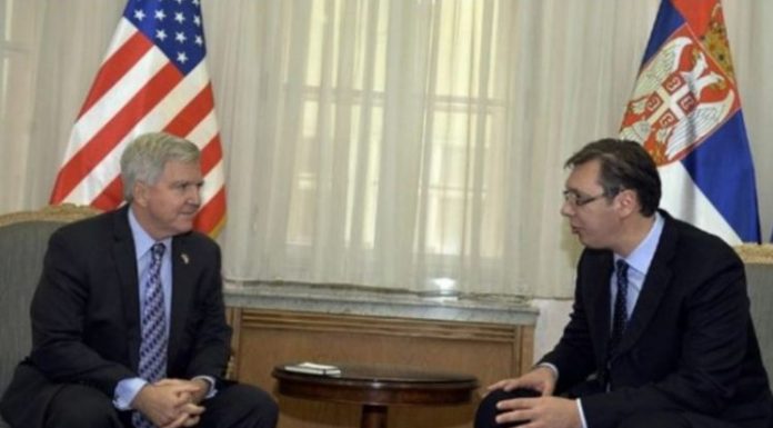 vucic ambasadori