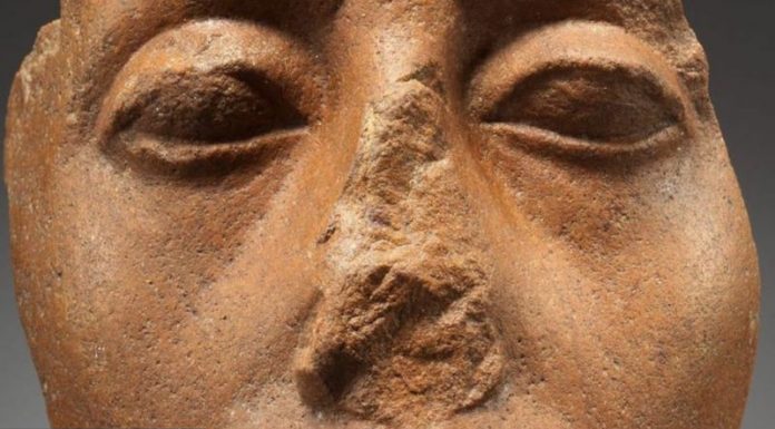 Screenshot_11-63-800x450000