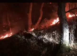Përsëri zjarr në Strugë (VIDEO)