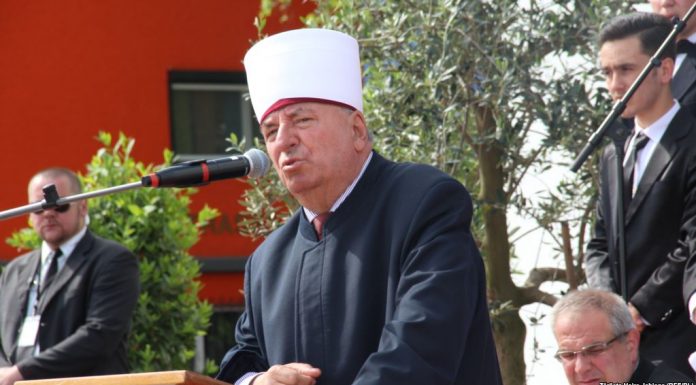 sulejman rexhepi