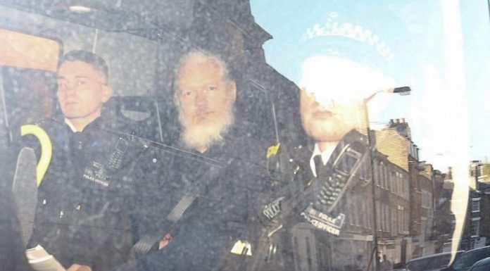 assange