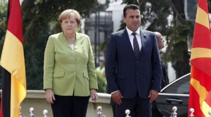 merkel zaev
