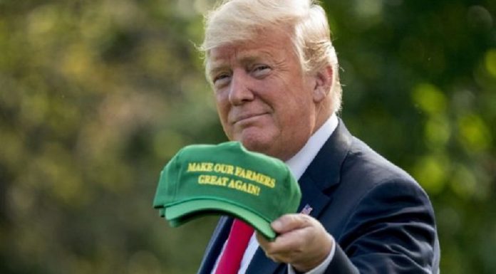 Trump-5-600x360