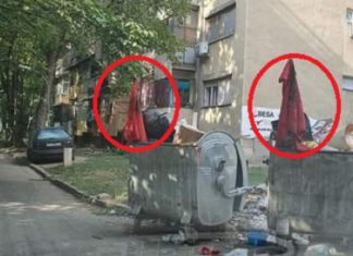 Turp, dasmorët në Shkup pas dasmës hedhin flamurin “kuq e zi” në plehra