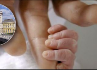 Ky është shteti që u jep çifteve të martuara 30 mijë € për të lindur tre fëmijë