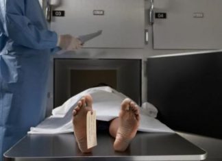 Zbulimi tronditës, trupat e njerëzve vazhdojnë të lëvizin deri në një vit pasi ndërojnë jetë