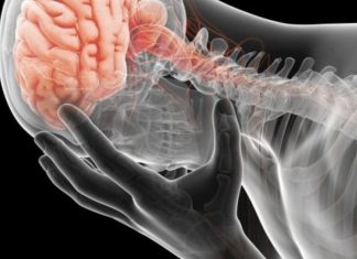 Truri është organi i parë që preket nga dehidratimi; Çfarë i ndodh trupit tuaj nëse nuk pini ujë mjaftueshëm