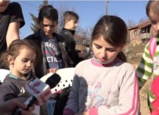 Premtohet zgjidhje e problemit për paralelen në gjuhën shqipe