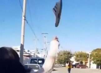 Gruaja që “sfidon” seriozisht nënat shqiptare, saktësia e saj e goditjes me ‘papuçe’ është e pabesueshme
