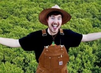 Filloi si një “shaka”, u bë lëvizje botërore, si u mblodhën miliona dollarë në vetëm pesë ditë, për të mbjellë pemë