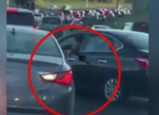 I’a preu rrugën, shikoni sherrin që fillon mes tri grave në autostradë (VIDEO)