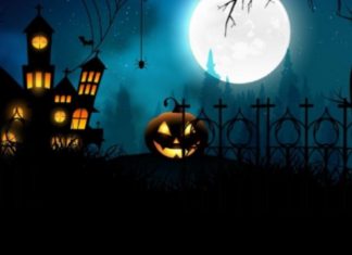 “Halloween” ia merr 5000 euro Komunës së Prishtinës, ia dëmtuan autobusët