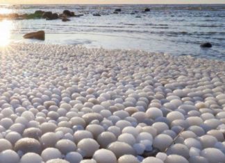 Dukuri e rrallë në Finlandë, plazhi mbushet me “vezë akulli”