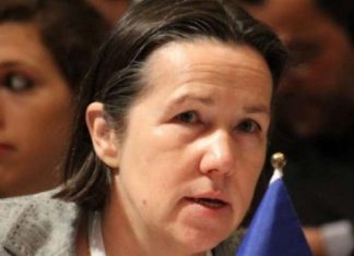Ironi franceze me Metën: Të jesh kundër nismës franko-gjermane për armët e lehta