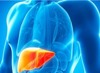 Është krijuar për të duruar 600 vjet, por ne e shkatërrojmë mëlçinë për 60 vjet