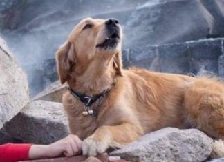 Bëri xhiron e rrjetit si foto pas tërmetit në Shqipëri, por ja e vërteta (FOTO)