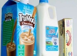 94 vjet histori: Prodhuesi më i madh i qumështit në Amerikë, drejt falimentimit