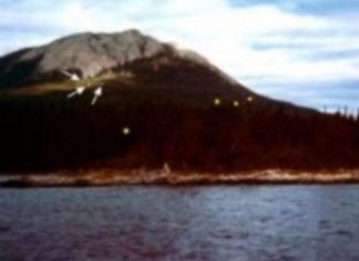 Dritat misterioze gjatë tërmetit në Shqipëri: Shkencëtarët japin shpjegim për këtë fenomen