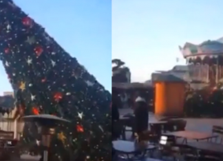 Pamje nga vendi i ngjarjes: Erërat e fuqishme rrëzojnë bredhin në Tiranë (VIDEO)