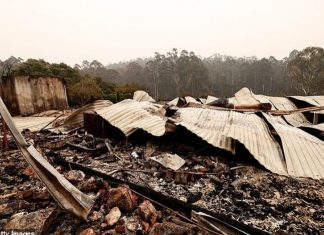 Njeriu më me fat në botë. Fiton 1 milion dollarë pasi iu dogj shtëpia nga zjarret në Australi