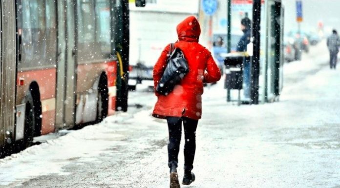 moti-bora520-800x444