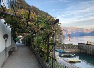 20 mijë franga për një fëmijë, familjeve që vendosen në këtë fshat zviceran