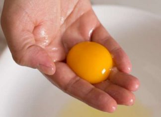 E verdha e vezes eshte nje “mbretereshe” e vertete, disa nga perfitimet qe nuk i keni ditur deri me tani