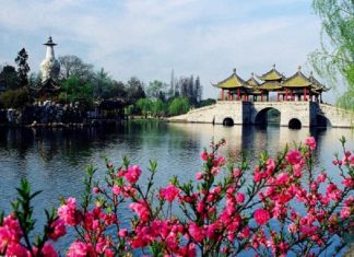 Një provincë me 80 milionë njerëz, vetëm 17 të varfër