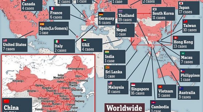 24165366-0-image-a-50_1580552489851-1-780x439