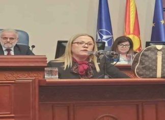Stojanovska doli në foltore me çantë Luj Viton